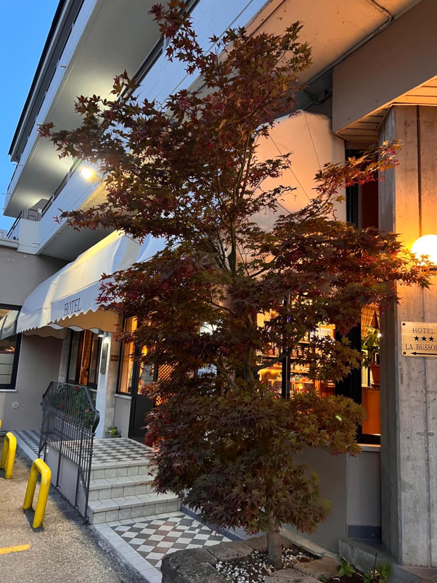 פאדנג'ה סול גארדה Hotel La Bussola מראה חיצוני תמונה